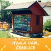 CZS - Hvala Vam, Čebelice