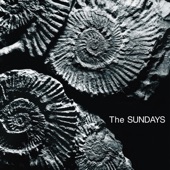 You're Not The Only One I Know by The Sundays