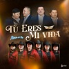 Tú Eres mi Vida - Single