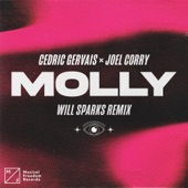 MOLLY (Will Sparks Remix) artwork