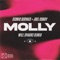MOLLY (Will Sparks Remix) artwork