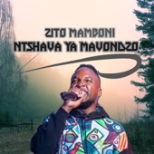 Ntshava Ya Mavondzo artwork