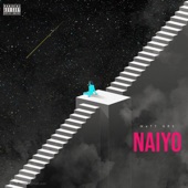 NaiYo artwork