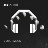 Starlit Moon artwork