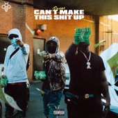 Can't Make This Shit Up artwork