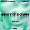 Shut It Down (P Money Remix) - Single