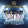 Experiencias Voy Viviendo - Single