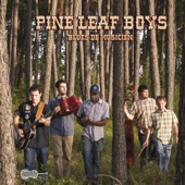 The Pine Leaf Boys - Pine Leaf Boogie