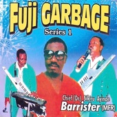 Fuji Garbage Medley artwork