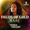 Fields of Gold (Terra e Paixão) - Single, 2023