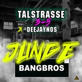 Junge (Bangbros Remix Extended) artwork
