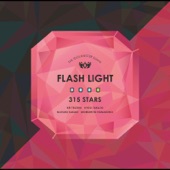 FLASH LIGHT artwork