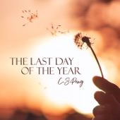 The Last Day of the Year artwork