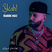 Yeah! (Habibi Mix) artwork