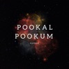 Pookal Pookum (feat. Sreejith Ravi) [Reprise] - Single