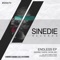 Endless (Tamer Fouda Remix) - Nasser Tawfik & Sione lyrics