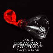 Descampaos y plazoletas XV (feat. Chato Menor) artwork