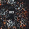 Brash - Anton Ishutin & Note U lyrics