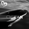 Ocean - Single