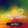 Jail Bird - Single