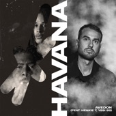 Havana (feat. Henkie T & Yssi SB) artwork