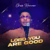 Lord You Are Good - Single album lyrics, reviews, download