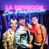 La Definición de Perfección - Single