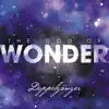 The God of Wonder album lyrics, reviews, download