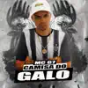 Stream & download Camisa do Galo - Single