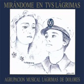 Mirándome en Tus Lágrimas artwork