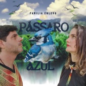 Pássaro Azul (feat. Comitiva Nifakëhu Shanenawa) artwork