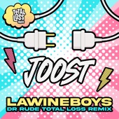 Joost (Dr Rude Total Loss Remix) artwork