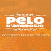 LEJOS DE TI (En Vivo) (feat. Pedro Loli) artwork