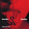 Houdini (Adam Port Mix) - Single, 2023
