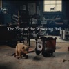 The Year of the Wrecking Ball - Single