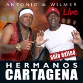 Los Hermanos Cartagena Live artwork