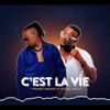 C'est la vie (feat. Social Mula) - Single