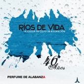 Ríos de Vida 40 Años artwork