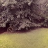 Afternoons