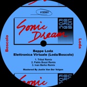 Elettronica Virtuale (Pablo Bozzi Remix) artwork