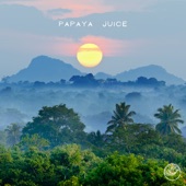 Papaya Juice by Odd Panda