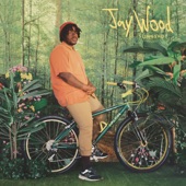 JayWood - All Night Long