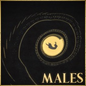 Males artwork