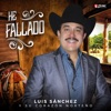 He Fallado - Single