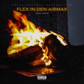 Flex in den Airmax artwork