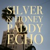 Silver & Honey - Single