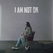 I AM NOT OK artwork