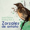 Zorzales de Antaño / Juan Carlos Godoy, Vol. 2