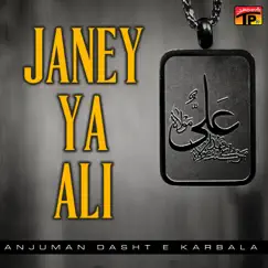 Andherey Zindaan Song Lyrics