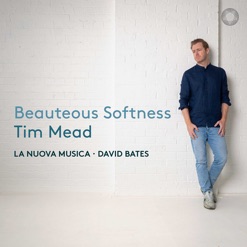 BEAUTEOUS SOFTNESS cover art